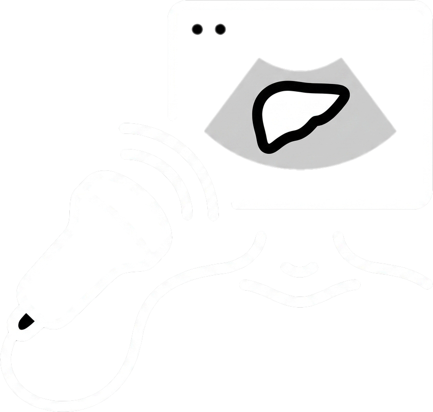 Ecografía Icon